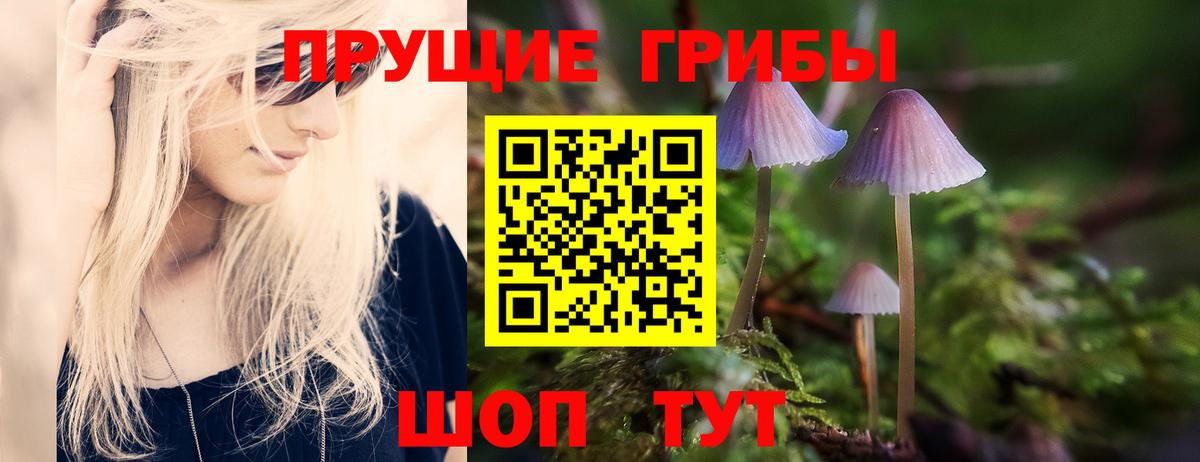 Псилоцибиновые грибы GOLDEN TEACHER  Вход с VPN  Галлюциногенные грибы Cubensis  Нарткала 